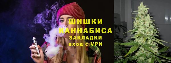 дживик Богородск