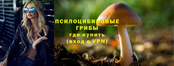синтетический гашиш Богданович