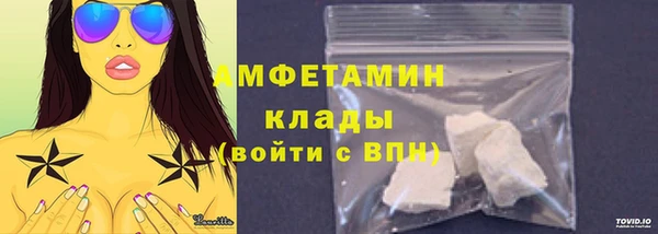 дживик Богородск