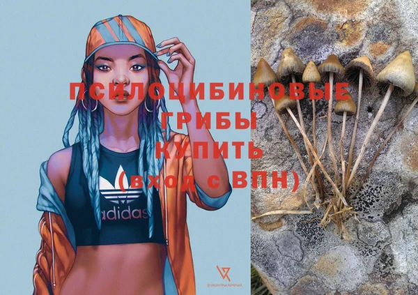 синтетический гашиш Богданович